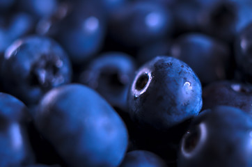 Delicious dark blue blueberries in closeup/ Borówka amerykańska