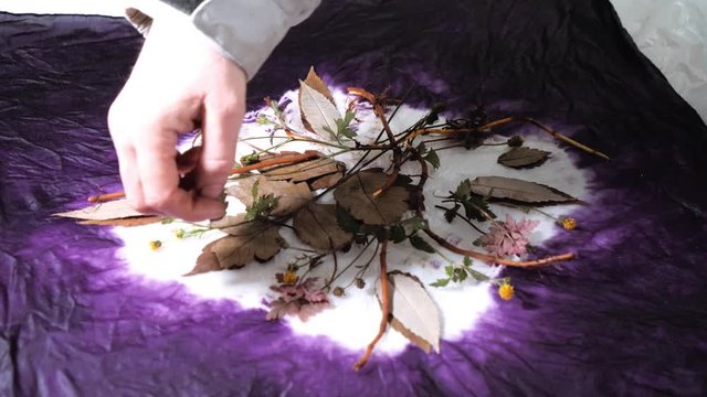 Natural flower tincture on fabric, ecoprint technique on fabric. 4k