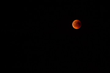Blutmond im Lichte