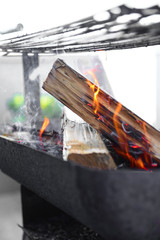 fire burning in a fireplace