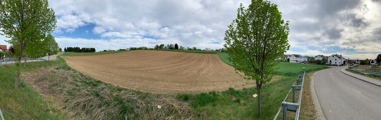 Fototapeta na wymiar Panorama of an agricultural field in cloudy weather, grass of green color, dry grass, road, green trees, building