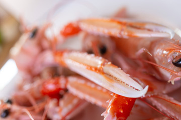 Chele e scampi crudi