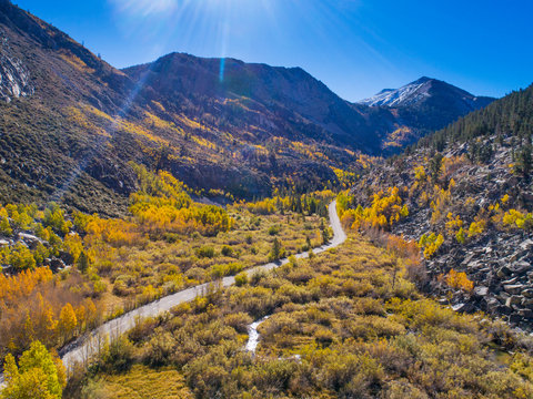 A winding road passes by fall aspen groves on the way to South Lake, Sierra Nevada Mountains, California