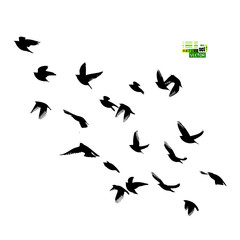 A flock of flying birds silhouette. Vector illustration