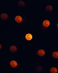 Fototapeta premium Multiple Moons 