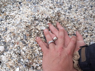 hand on the beach