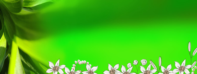 green background with flowers