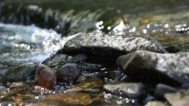 Flowing stream brook clear water splashes in streambed on spring with sunshine reflections.