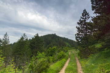 Rhodope Mountains near village of Dobrostan, Bulgaria