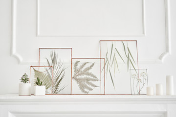 Picture of real plants between the glasses. Natural decorative elements for home decoration:...