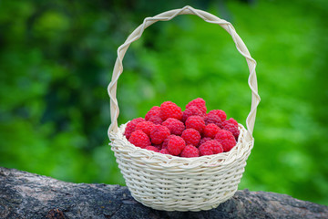 Ripe berry in wicker basket. Vintage basket with raspberries. Red raspberries. Raspberries in basket on the table.