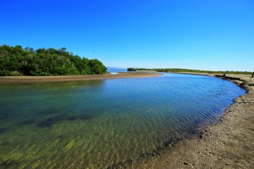 Canal de agua salada  con mangles al fondo