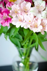 Pink and white flowers in a vase