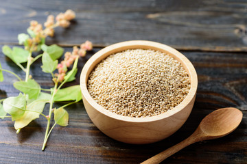 Organic raw brown quinoa seed in a bowl with spoon on wooden background, Healthy food