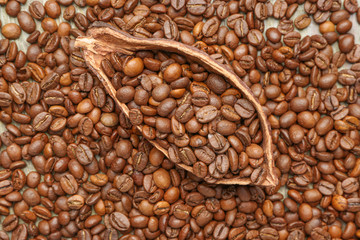 Many coffee beans with cacao pod, top view