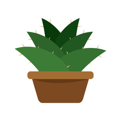 Cactus icon in a pot plant