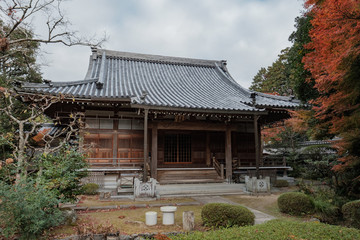 Autumn Leaves in a Temple in Kyoto, Japan