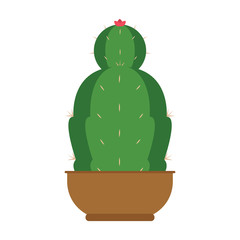 Cactus icon in a pot plant