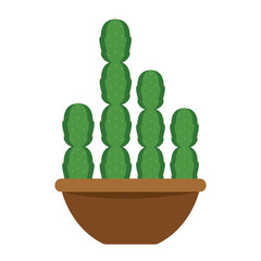 Cactus icon in a pot plant