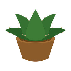 Cactus icon in a pot plant