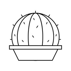 Cactus icon in a pot plant