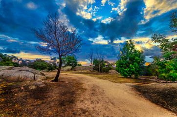 Obraz premium Afternoon Rocks