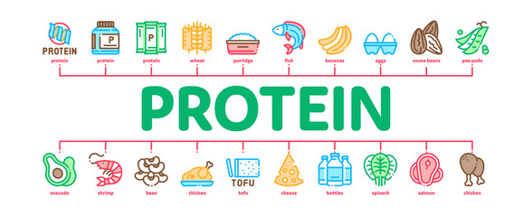 Obraz premium Protein Food Nutrition Minimal Infographic Web Banner Vector. Bottle And Package With Protein, Fish And Chicken Meat, Milk And Cheese Illustrations