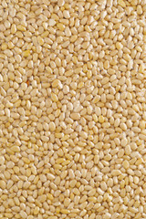 pine nuts packed in vacuum bag, close-up view background