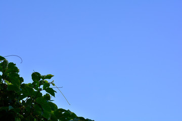 céu
