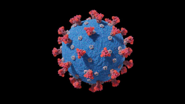 Medically Accurate Illustration Of Covid-19  Virus Showing Spike Protein On The Surface Of The Contagion.