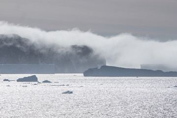 Obraz premium Sea fog andTabular Icebergs in the Weddell Sea