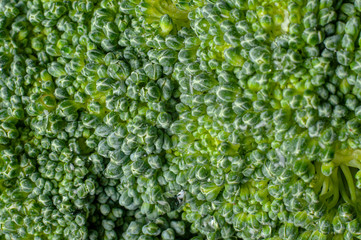 Vegetales Macro de brocoli 