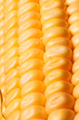 Vegetales Mazorca Maiz amarillo 