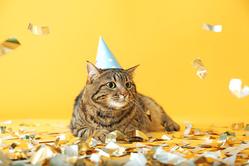 Cute cat in party hat and confetti on color background