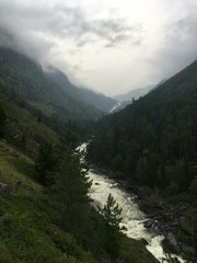 Fototapeta premium mountain road in the mountains