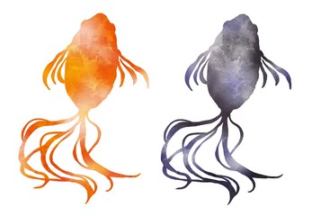 赤い金魚と黒い金魚　キンギョ　水彩風