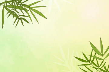 Bamboo leaf background