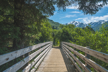 Plakat wooden bridge in the mountains