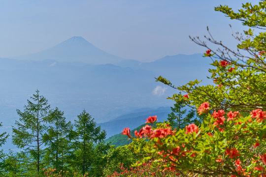 304 Best 甘利山 Images Stock Photos Vectors Adobe Stock