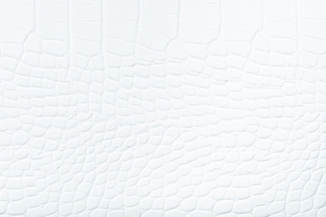 White leather background