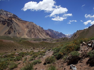 Confluencia Aconcagua Nature surprises us with the contrast between the abundant and and colorful vegetation and the magnificence of the mountain