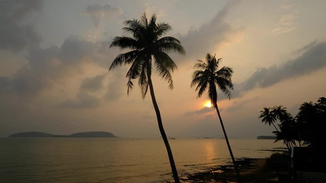 Timelapse video of coconut tree near the sea in Chumphon province, Thailand.