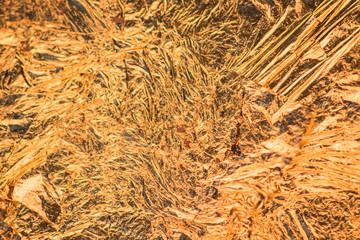 Gold textured background