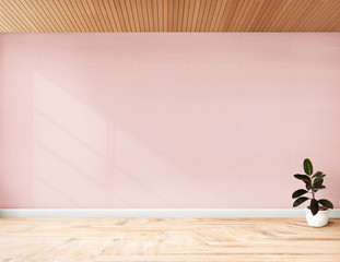Rubber fig in a pink room