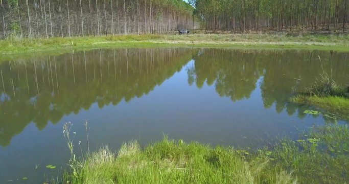 Aerial View of Lake With Mirror Reflection and Artificial Forest for Forestry Industy, Paraguay