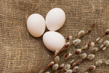 White eggs and willow twigs on the table