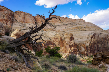 grand canyon national park