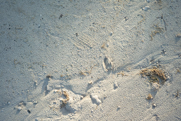 sand background