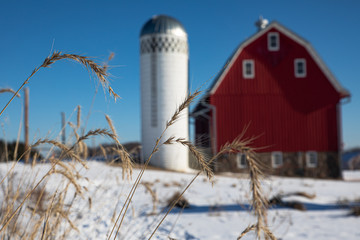 Red barn in winter with silo.