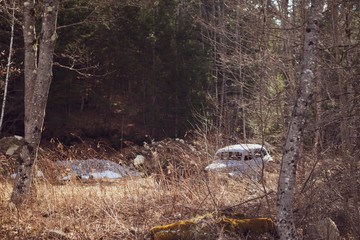 vintage abandoned car in woods